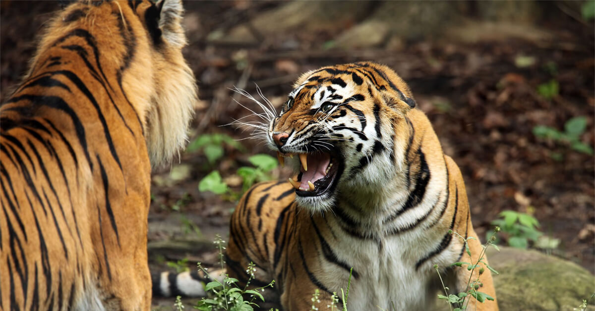 Spot Inappropriate Behavior and Prevent It From Permeating Company Culture